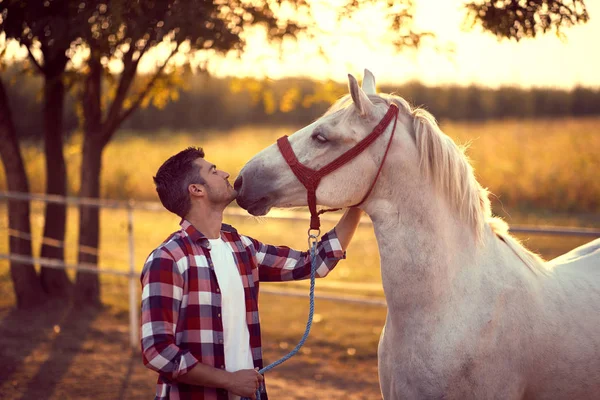 Un uomo che bacia il suo cavallo al ranch. Divertimento in campagna, tramonto — Foto Stock