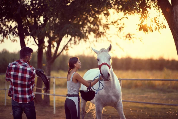 Man förbereder sig för att montera en sadel på baksidan av hästen. Traini — Stockfoto