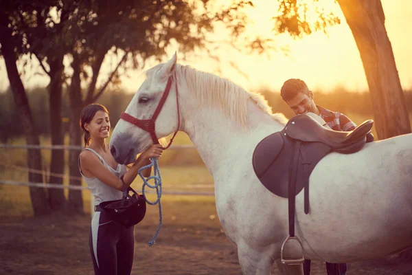 Facet zakładający siodło na konia. Trening na wsi, sunse — Zdjęcie stockowe