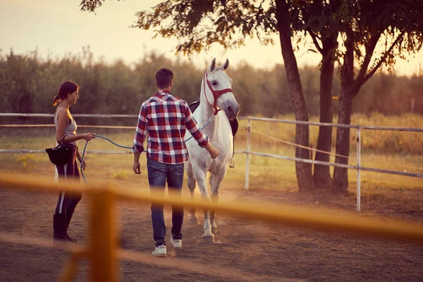 Wit paard met twee mensen. Opleiding op het platteland, zonsondergang g — Stockfoto