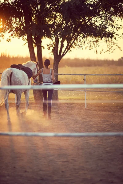 Egy fiatal nő és a lova lovagolni mennek. Vidéki szórakozás, — Stock Fotó