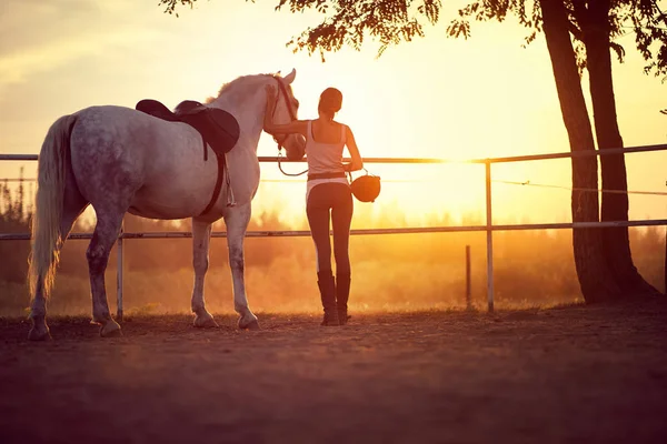 Жінка та її кінь спостерігають за заходом сонця. Веселощі на сільській місцевості, золотий — стокове фото