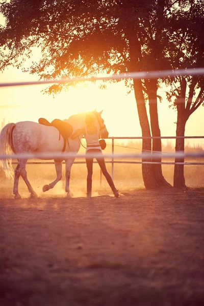 日落时分，年轻女子和她的马 — 图库照片