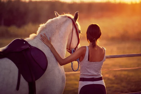 Bruna giovane donna e il suo cavallo. Divertimento in campagna, tramonto — Foto Stock