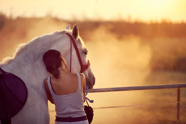 Woman rests her head on a horse, Fun on countryside, sunset gold — Stock Photo, Image