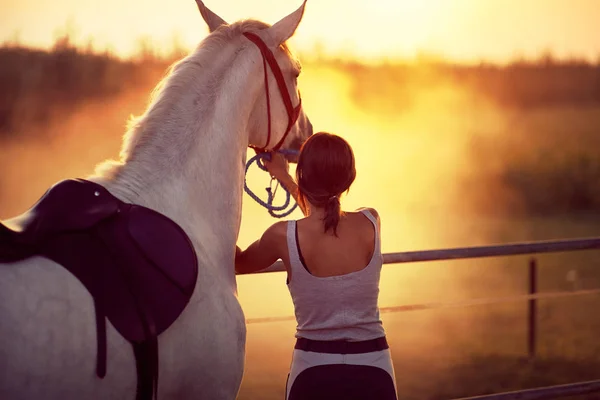 Best way to start a day. Fun on countryside with horse, sunset g — Stock Photo, Image