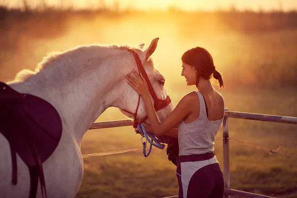 Loving young woman gently petting her stallion . Fun on countrys — 스톡 사진