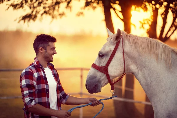 Le jeune homme et son cheval commencent la journée ensemble. Plaisir sur countr — Photo