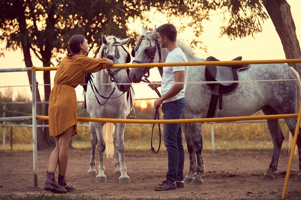 Romantiek op de paardenranch. Plezier op het platteland, zonsondergang gouden ho — Stockfoto