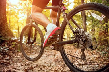 Sıradışı dağ bisikleti sporu. Yayılma, doğa, spor konsepti.