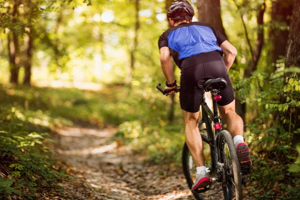 Їзда на велосипеді в сонячний день в лісі. Весна, природа, спортивне плаття — стокове фото