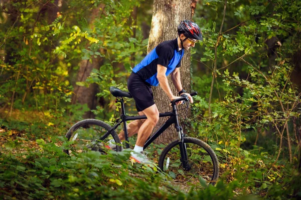 Kerékpározás Kerékpár Zöld Erdőben — Stock Fotó