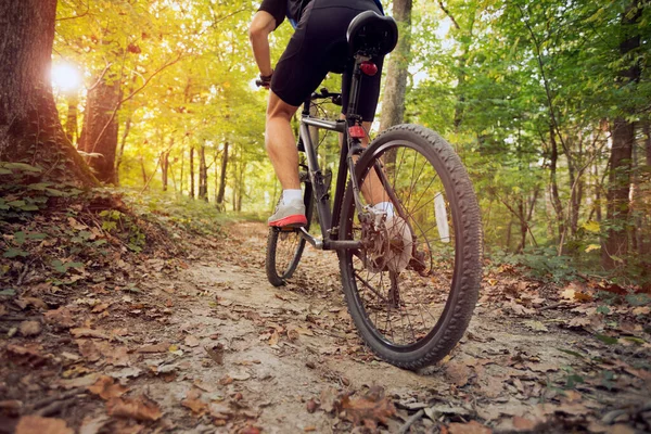 Mountain Bike Dia Ensolarado Floresta — Fotografia de Stock