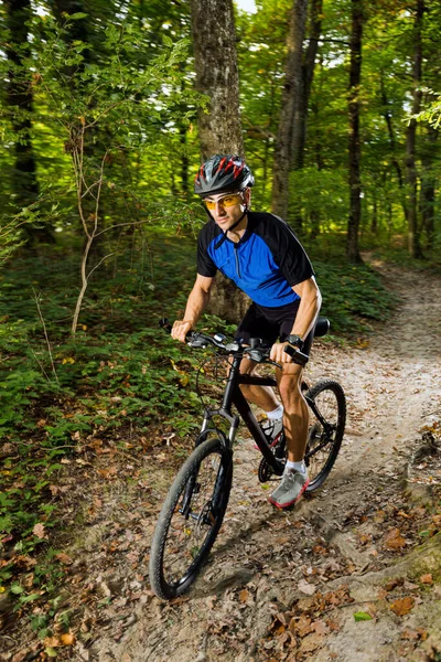 Mountain Biker Riding Forest — Stock Photo, Image