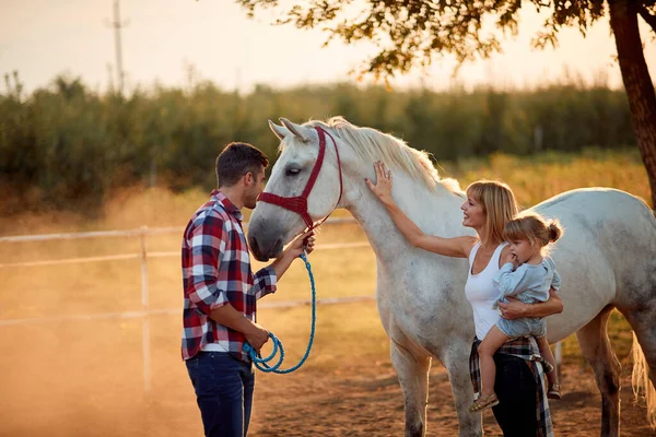 Familia Acariciando Caballos Gente Divierte Con Hermoso Caballo — Foto de Stock