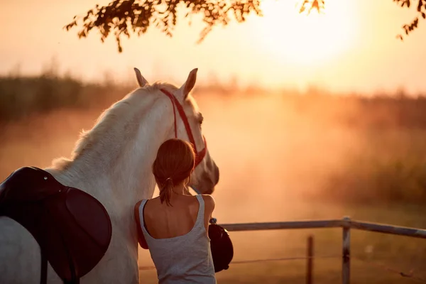 Menina Jovem Piloto Com Seu Belo Cavalo Pôr Sol — Fotografia de Stock