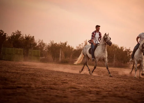 Young Man Galloping Horse Sunset — Stock Photo, Image