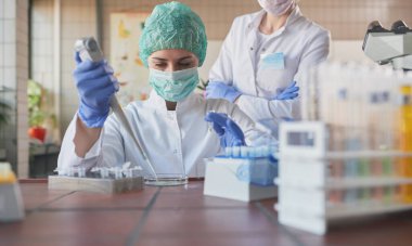 Yeni korona virüsünün laboratuvar analizi, klinik laboratuvar kimyasal enfeksiyon araştırması. Covid-19 konsepti.