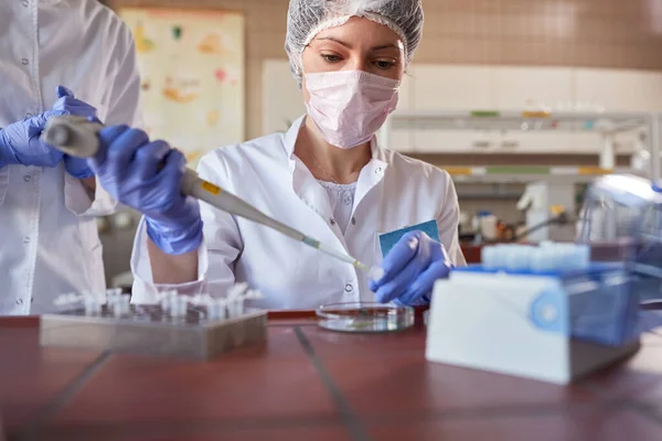 Laboratorní Technik Laboratoři Provádějící Výzkum Covid — Stock fotografie