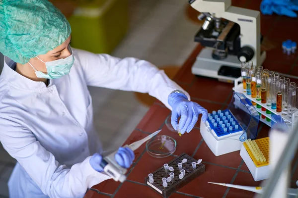 Lab Worker Female Doing Analysis Biochemical Laboratory — Stock Photo, Image