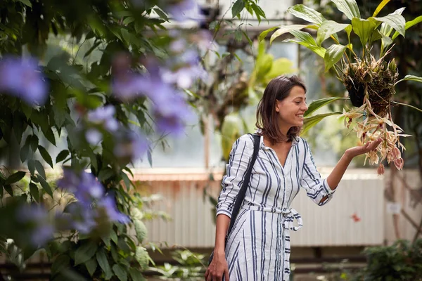 Genieten Van Natuur Explore Tuin Jonge Glimlachende Vrouw Zoek Bloem — Stockfoto