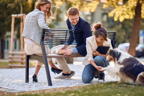 Business People Break Woman Pet Dog Park — Stock Photo, Image