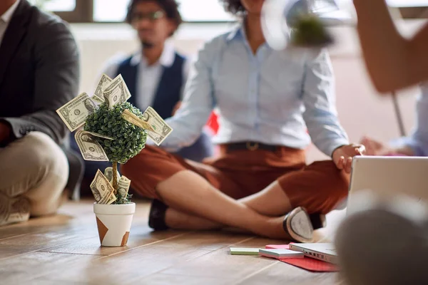 Primer Plano Del Árbol Del Dinero Concepto Meditación Flujos Energía —  Fotos de Stock