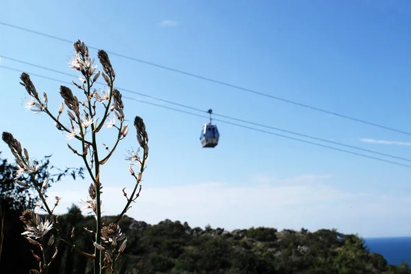 La funicolare nel cielo sul piano zany in Alanya Turchia. Giornata di sole, piante al centro dell'attenzione — Foto Stock