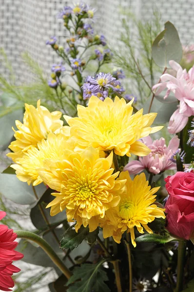 Um buquê colorido de flores — Fotografia de Stock