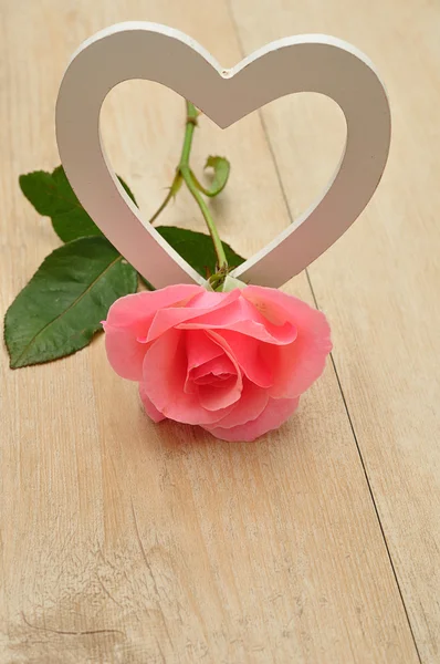 Valentinstag. eine einzige rosa mit einem weißen Holzherz — Stockfoto