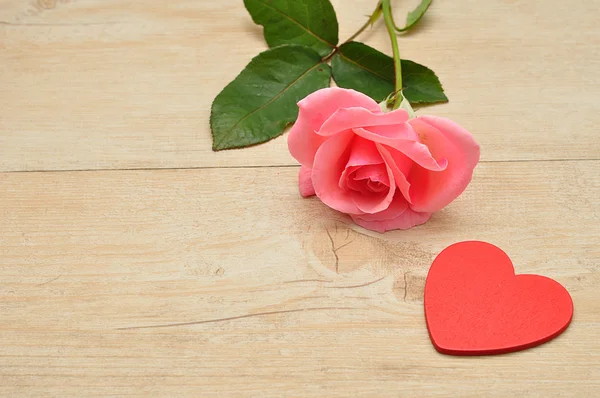 Ημέρα του Αγίου Βαλεντίνου. Ένα ροζ τριαντάφυλλο και μια κόκκινη καρδιά — Φωτογραφία Αρχείου