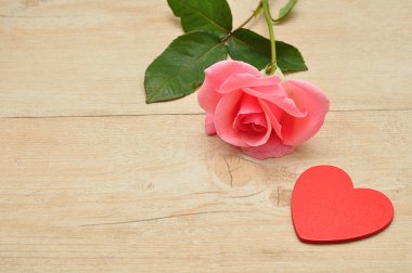 Sevgililer günü. Pembe bir gül ve bir kırmızı kalp