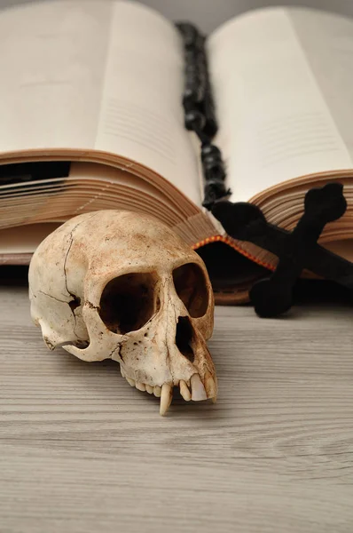 Lebka opice kočkodani vývěsce před otevřenou knihou a růženec se — Stock fotografie
