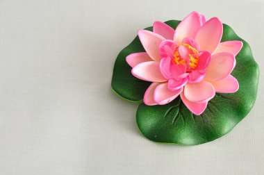 Bir yapay su Lilly beyaz bir arka plan üzerinde izole.