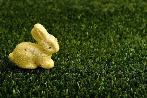 Een gele konijntje voor Pasen decoratie — Stockfoto