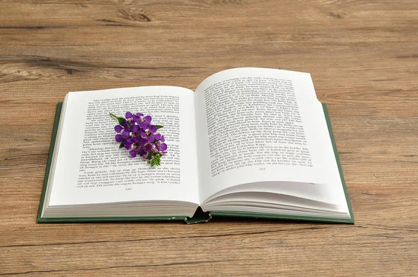 A green hardcover story book with purple flowers