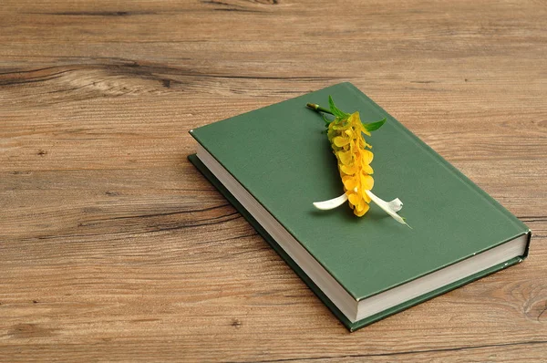 Libro de cuentos de tapa dura verde con flores amarillas — Foto de Stock