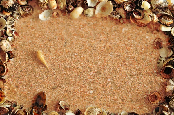 Eine Grenze mit Muscheln mit Sandhintergrund — Stockfoto