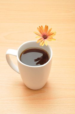 Beyaz bir kupa ile turuncu bir papatya