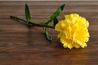 Ahşap arka plan üzerinde sarı bir yapay karanfil