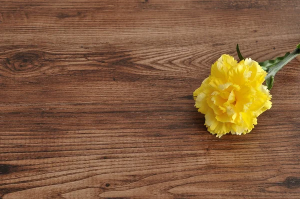 Un clavel artificial amarillo sobre un fondo de madera —  Fotos de Stock