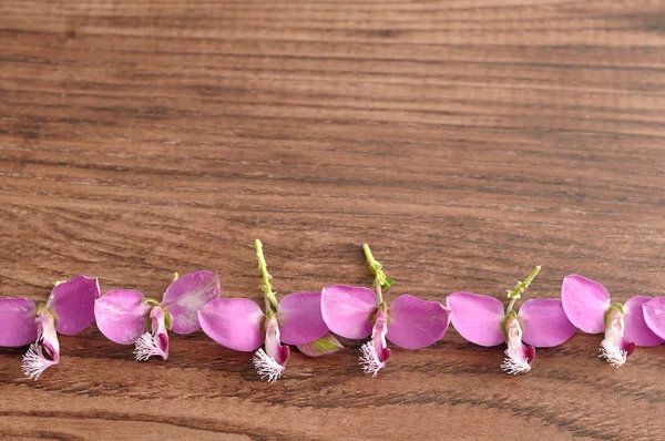 Uma borda de pequenas flores roxas em um fundo de madeira — Fotografia de Stock