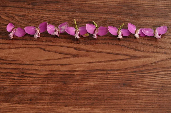 Ahşap arka plan üzerinde küçük mor çiçeklerin kenarlık — Stok fotoğraf
