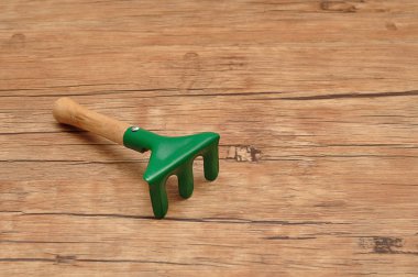 Ahşap arka plan üzerinde izole küçük yeşil tırmık