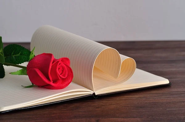 Pages of a book bend in a heart shape displayed with a red rose