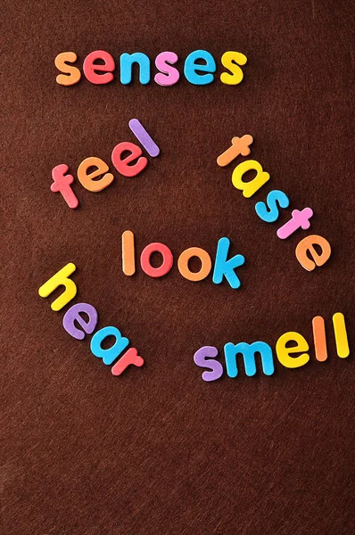The words senses, feel, taste, look, hear and smell on a brown background — Stock Photo, Image