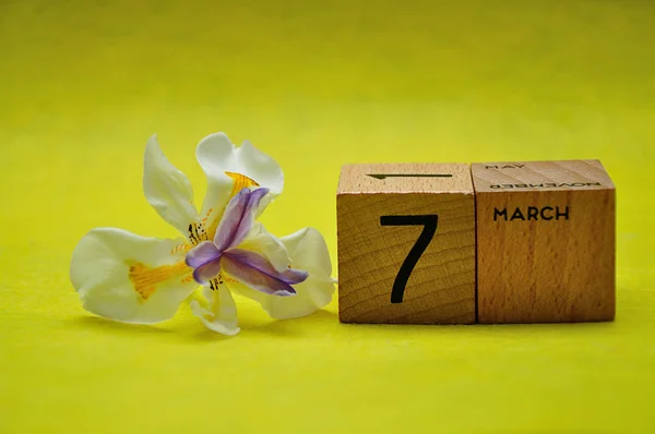 Tahta bloklarda 7 Mart, sarı arka planda Afrikalı bir iris. — Stok fotoğraf