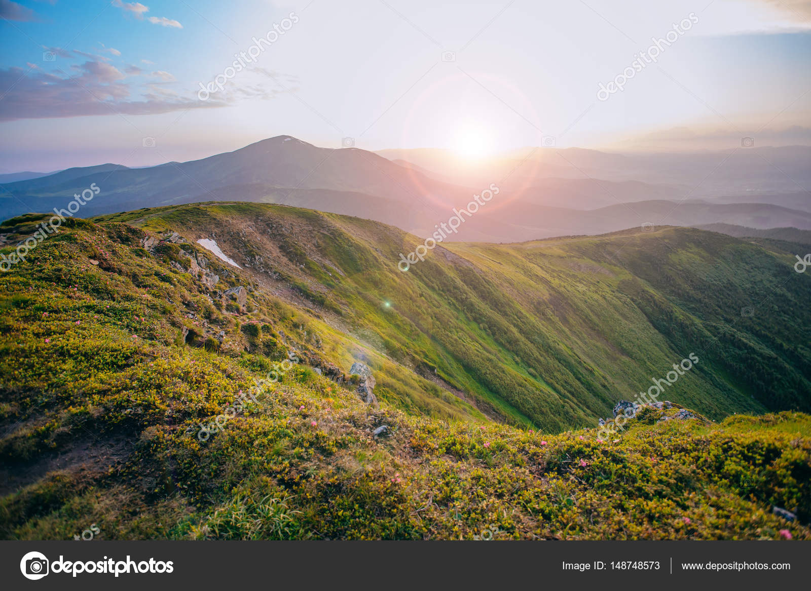 多姿多彩的夏天景观在喀尔巴阡山 图库照片 C Foksia07
