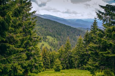 dağ vadi manzarası