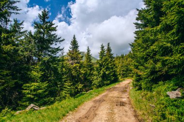 dağ vadi manzarası